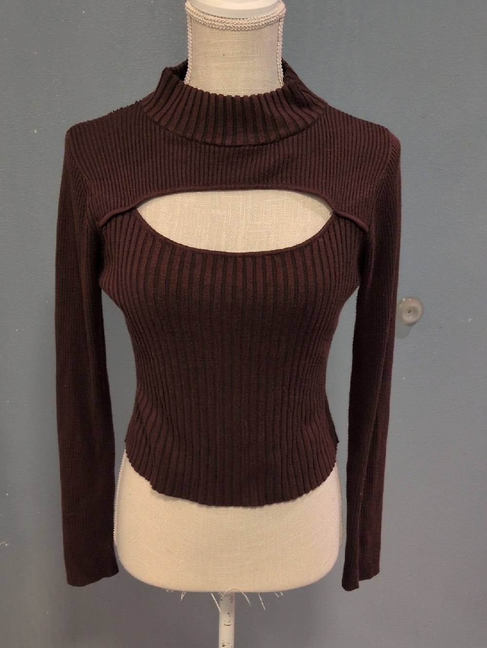 Say What Mockneck Ribbed Knit Cropped Long Sleeve 90's Style Top Indie Sleeze